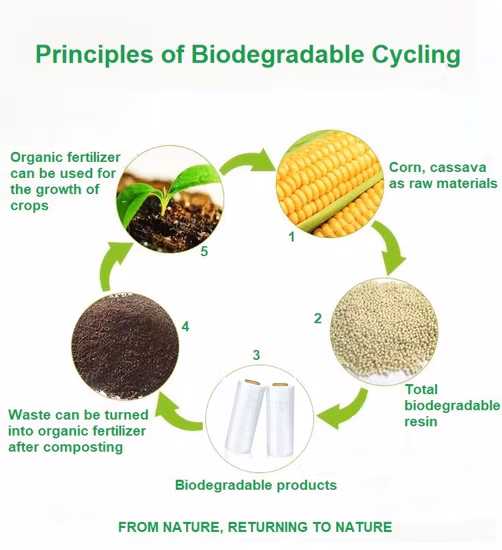 Food Grade Eco