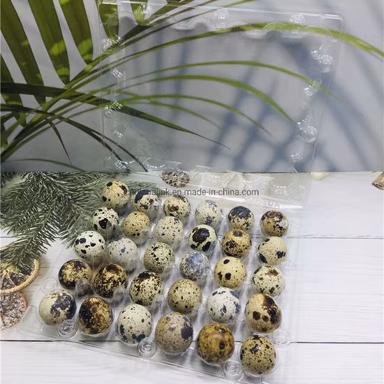 Transparent Blister Plastic Pet 20holes Quail Egg Packaging Tray