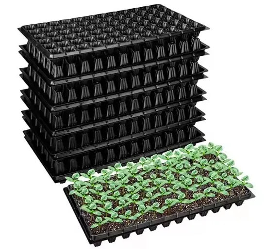 Eco