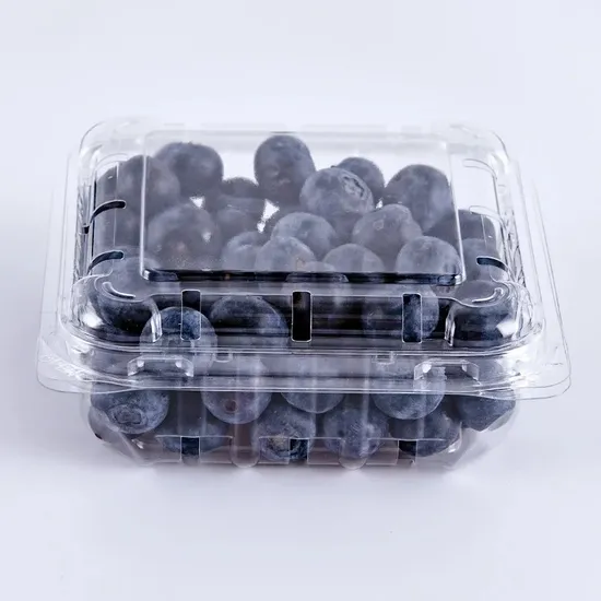 Ecofriendly Clear Pet Blister Plastic Blueberry Clamshell Packing Box 