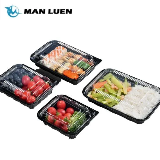 Rectangular Take Away Plastic Packaging Lunch Box