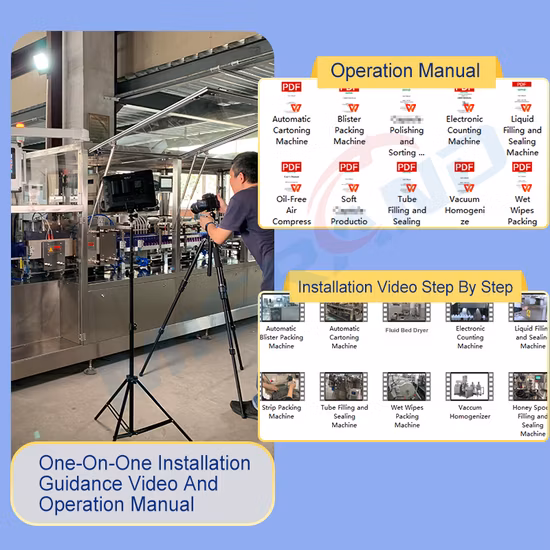Automatic Blister and Bottle Packaging Machinery Cartoning Machine/Carton Packing Machine/Pharmaceutical Machine/Cartoner Packaging Machine for Medicine