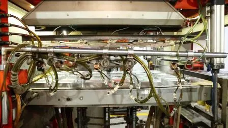 Customized Elegant Flocking Wine Plastic Tray Blister Packaging Insert Tray for Red Wine 