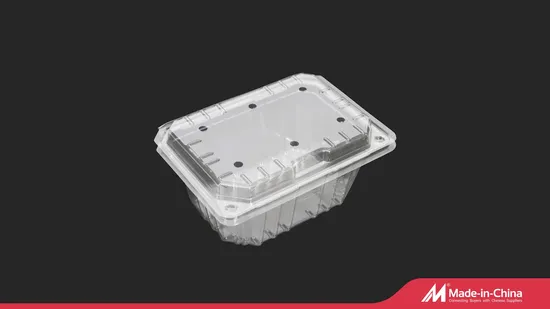 Plastic PET Blister for fruit  Disposable Food Packaging Container Box 
