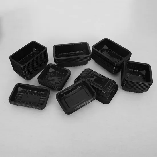 China Factory Custom Clear PS Disposable Blister Plastic Eco