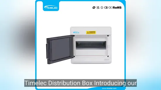 Customized IP65 Plastic Enclosure Distribution Box for Indoor and Outdoor Power Use 