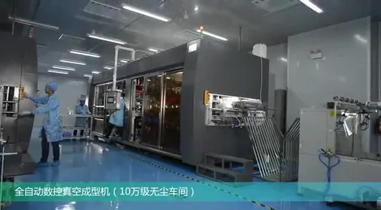 High Quality Blister Velvet Flocked Rectangular Plastic Decorative Tray 