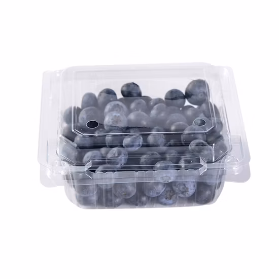 Strawberry Pet Disposable Clamshell Packaging Transparent Fruit Plastic Box